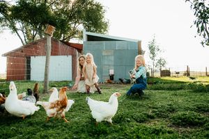 People sit in a backyard with chickens while enjoying a sunny day at a farmhouse setting.