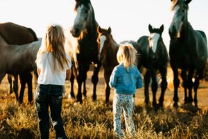 Two people standing in a field with a herd of horses at sunset.