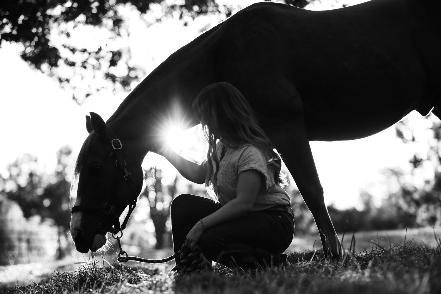 #flashbacksphotography #rodeo #equine #barrelhorse #quarterhorse #cowgirl #ranch #ranchlife