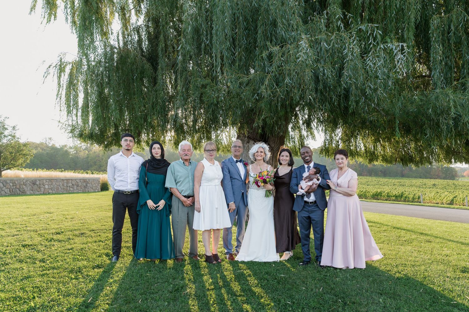 Group portrait of wedding family standing on grass under weeping willow tree at Vineland Estates Winery.
