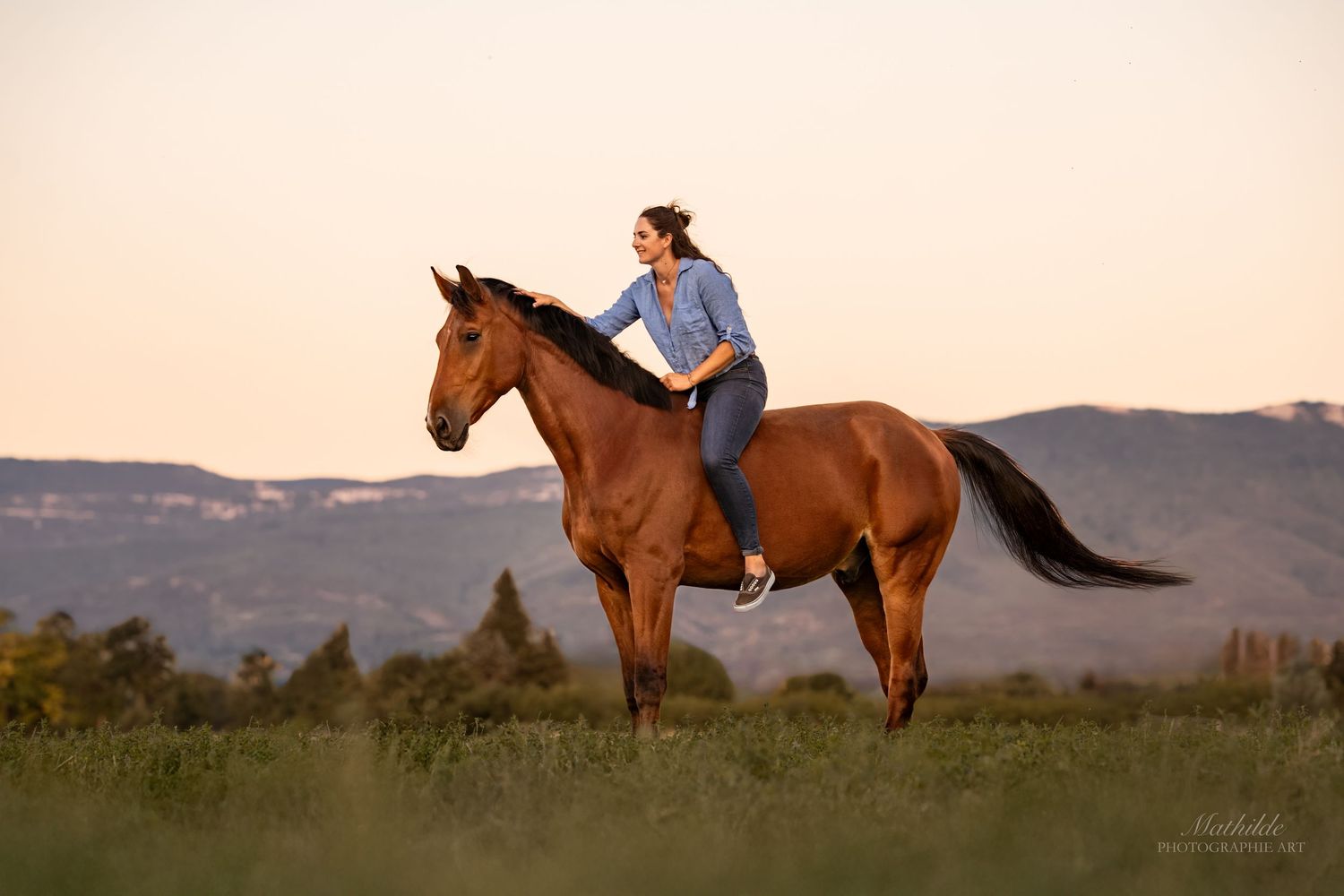 photographe cheval
séance photo chevaux
photographie animaux de compagnie
photo cheval extérieur
photographe Drôme Valence Isère