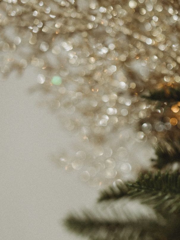 Christmas Mini Sessions in Werribee