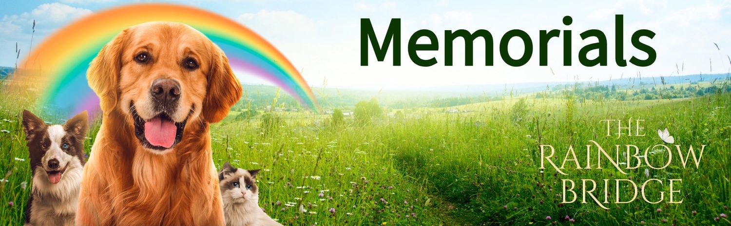 Rainbow Bridge Memorials banner featuring dogs in a green meadow with a colorful rainbow arching overhead.