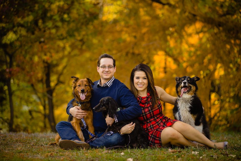 A couple sits outdoors on grass with three dogs against a backdrop of golden autumn foliage.