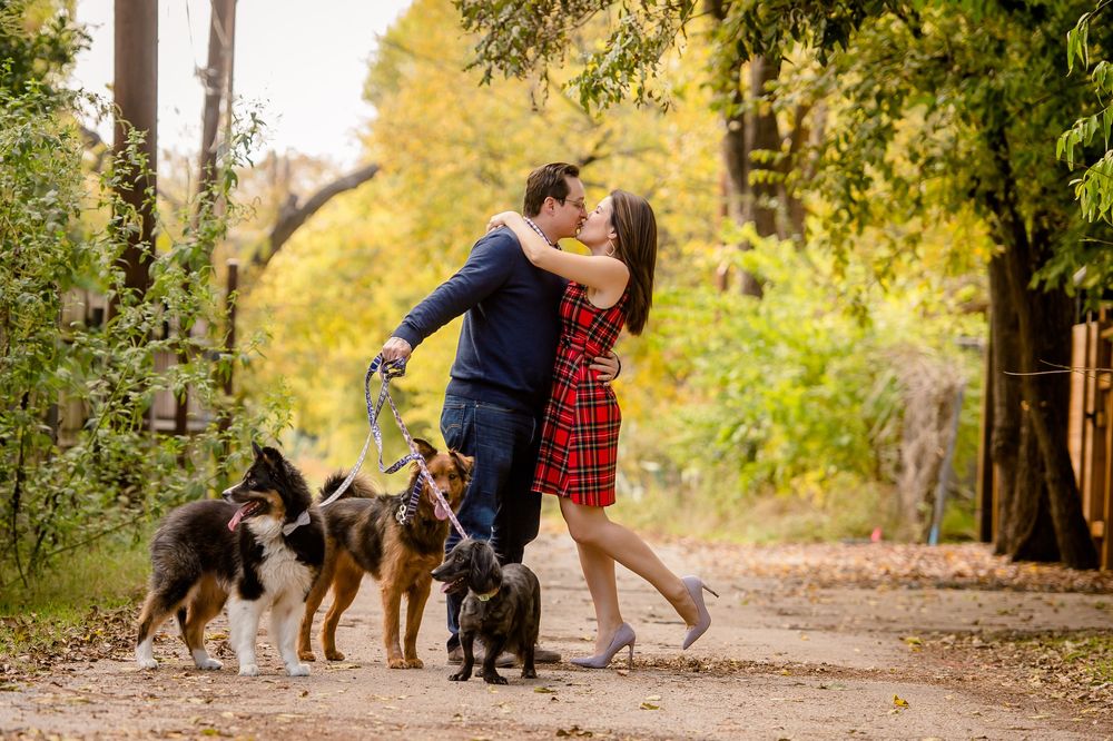 A couple dances together on a tree-lined autumn path with their dogs watching nearby.