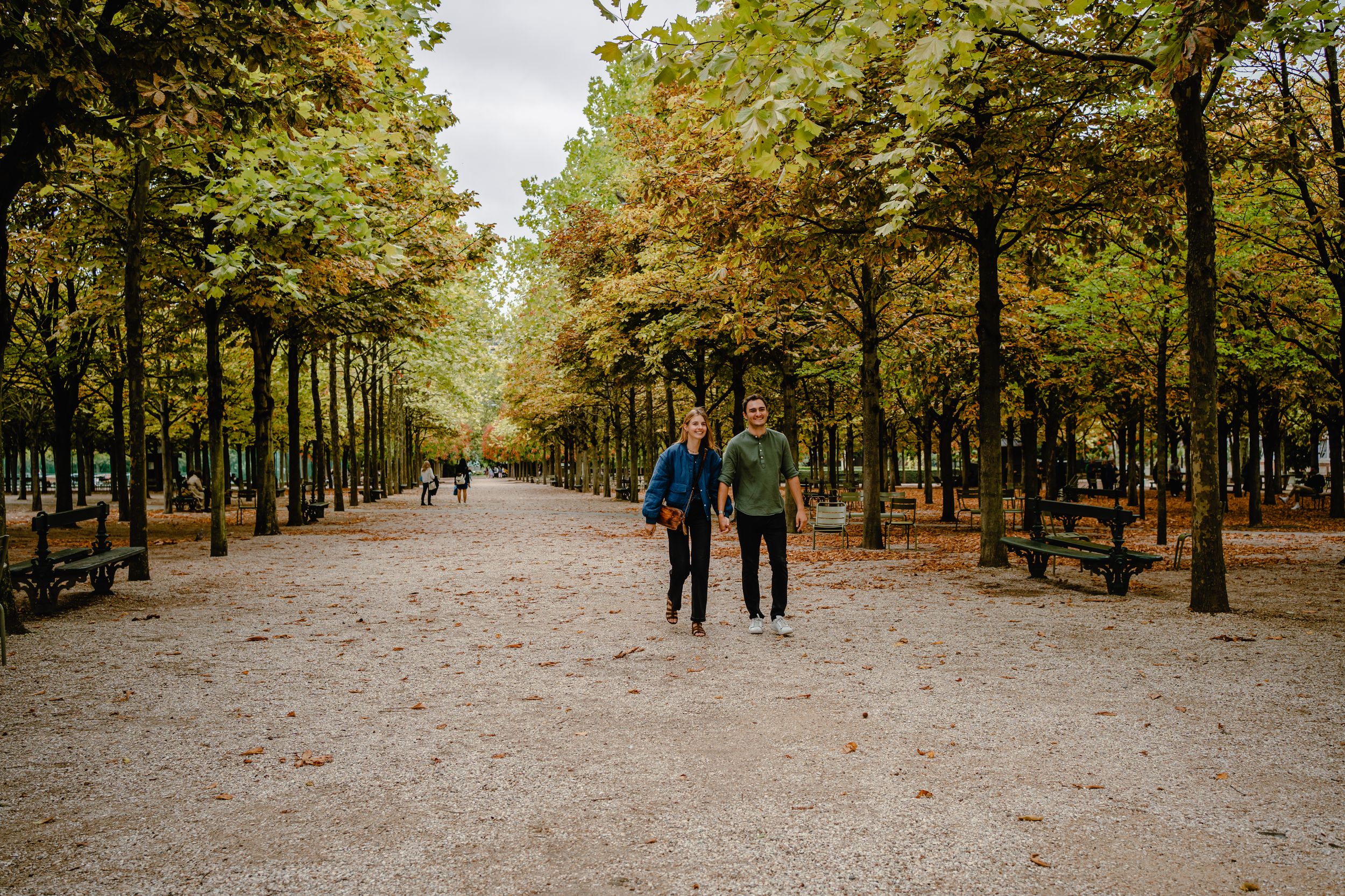 Tree-lined autumn path with fallen leaves in a park setting.