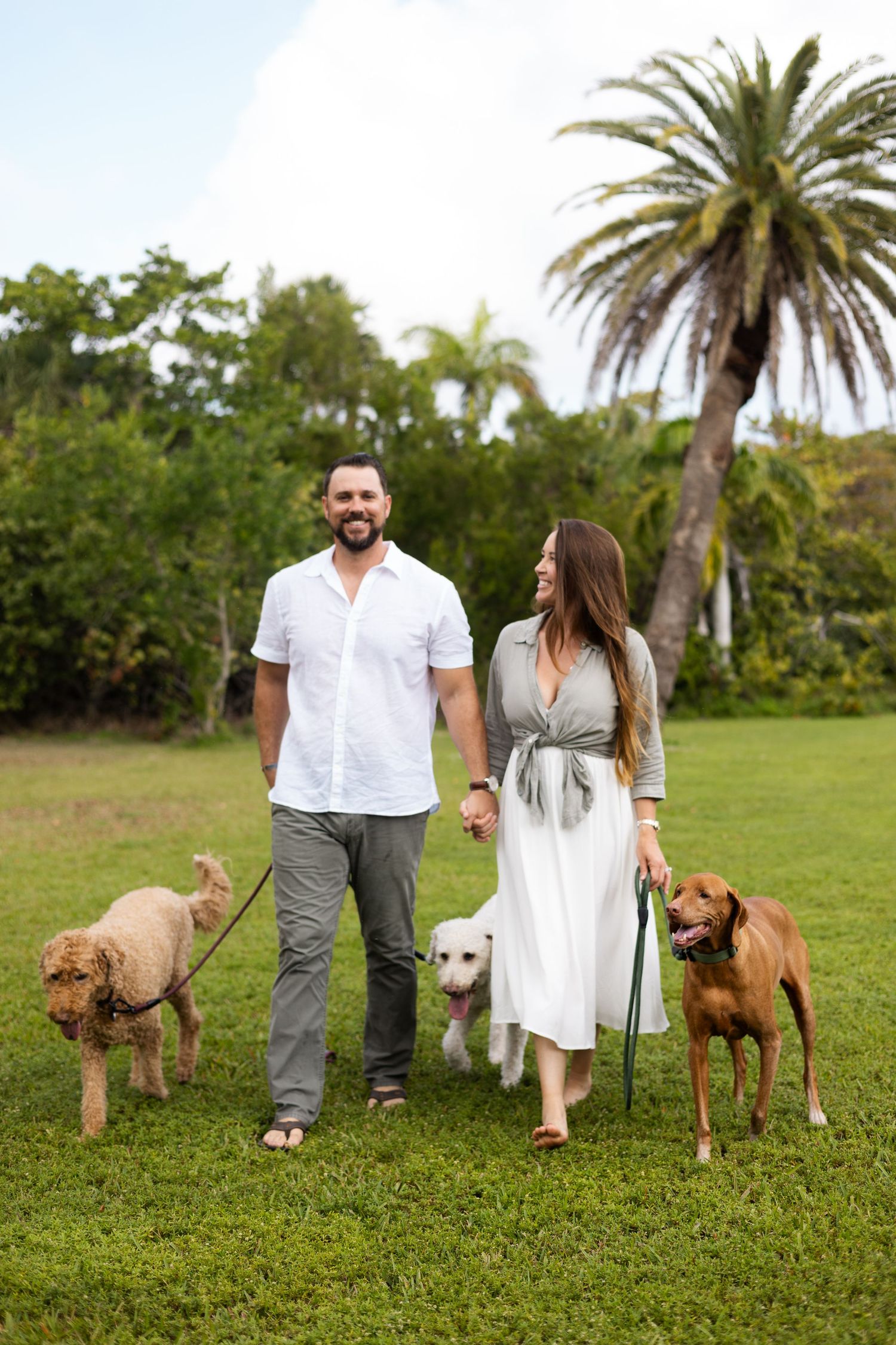 couple and three dogs in grass with palm tree in background