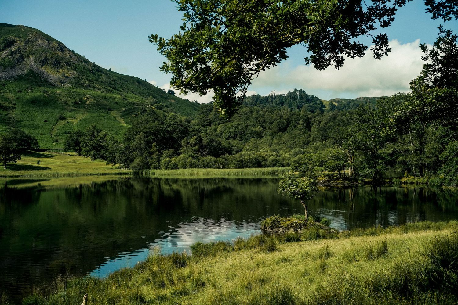 Tranquil lake reflects surrounding green hills and trees in a peaceful mountain landscape.