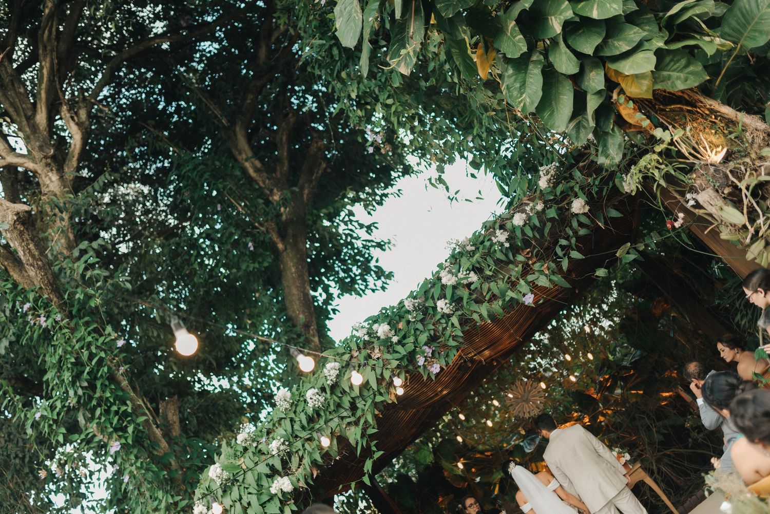 String lights hanging from lush green trees create romantic outdoor ambiance.