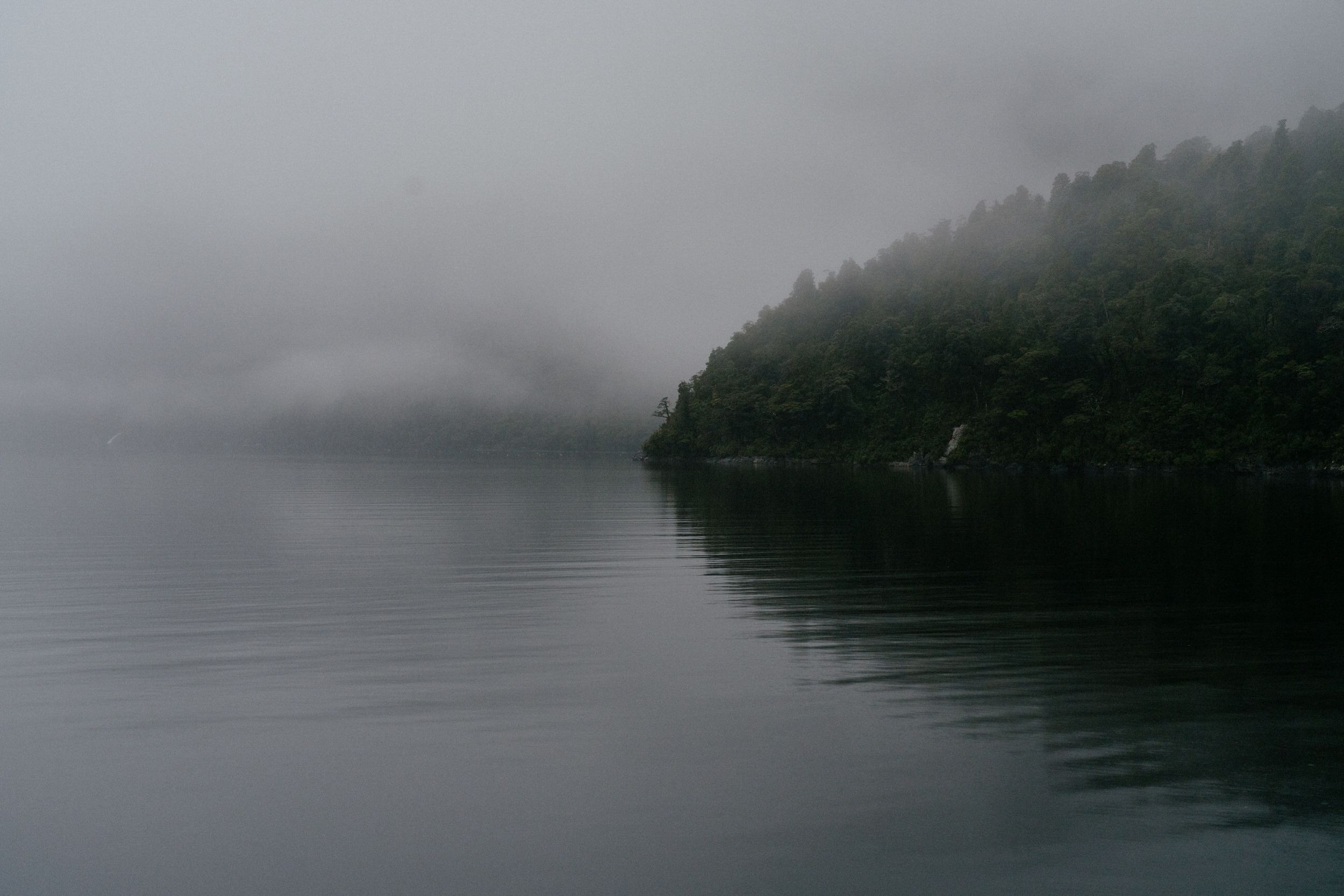 Misty lake surrounded by dense forest creating a moody and atmospheric scene.