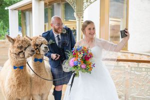 A couple poses with a llama during their wedding photoshoot outdoors.