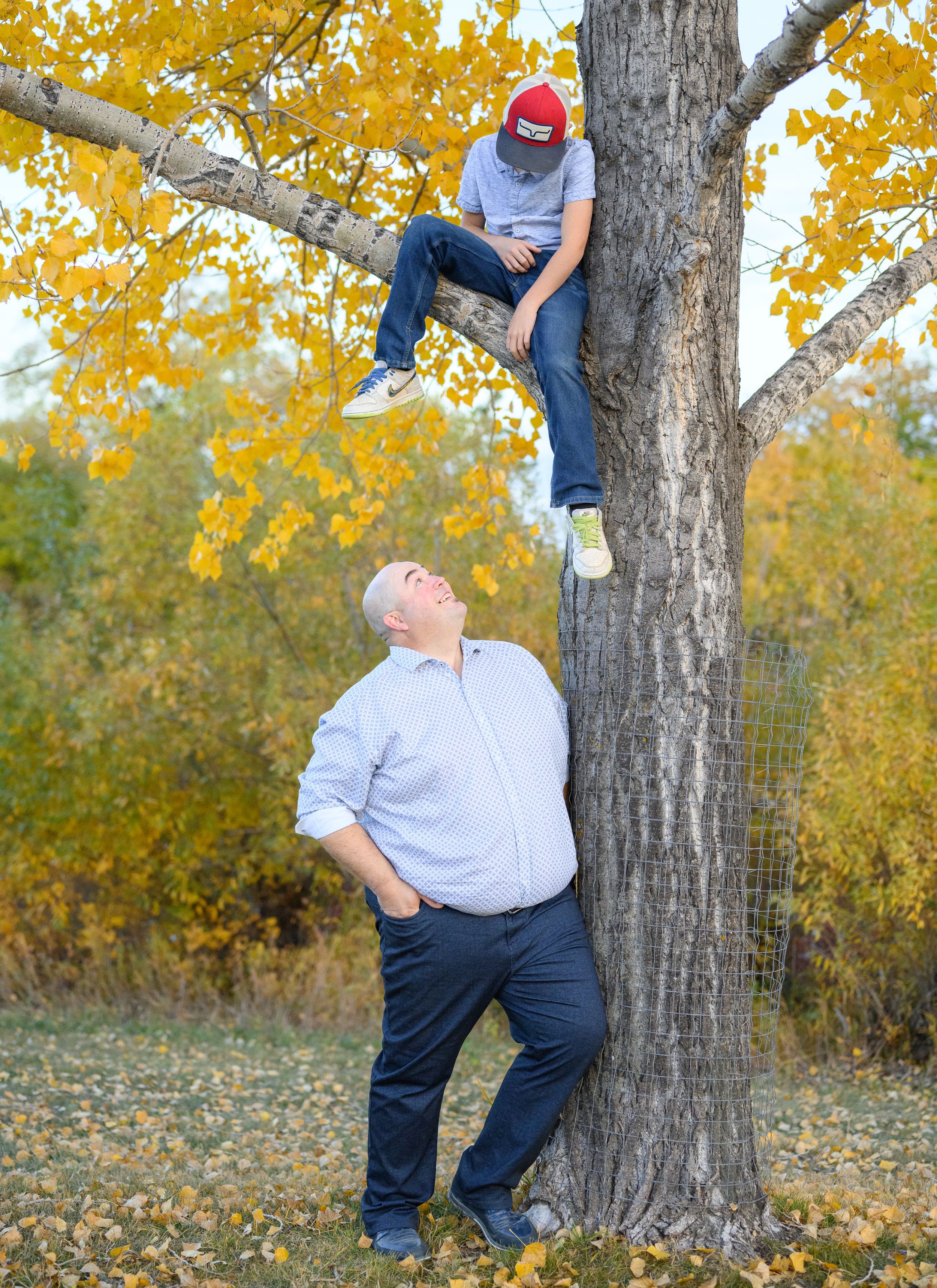 A playful autumn scene with someone perched in a tree with yellow leaves while another person looks up from below.