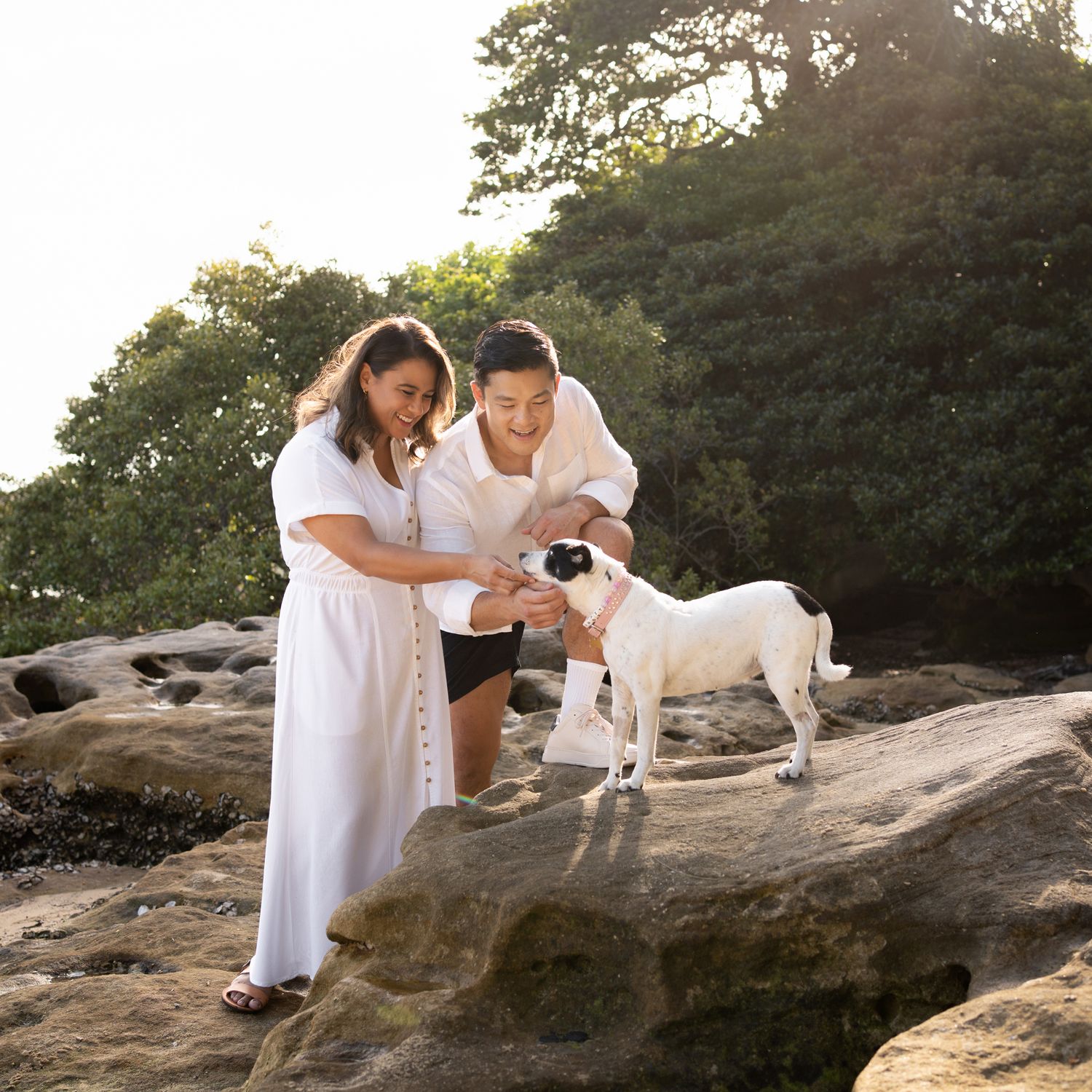 Couple petting their small dog during a dog friendly couple photoshoot in Sydney Lilli Pilli Reserve