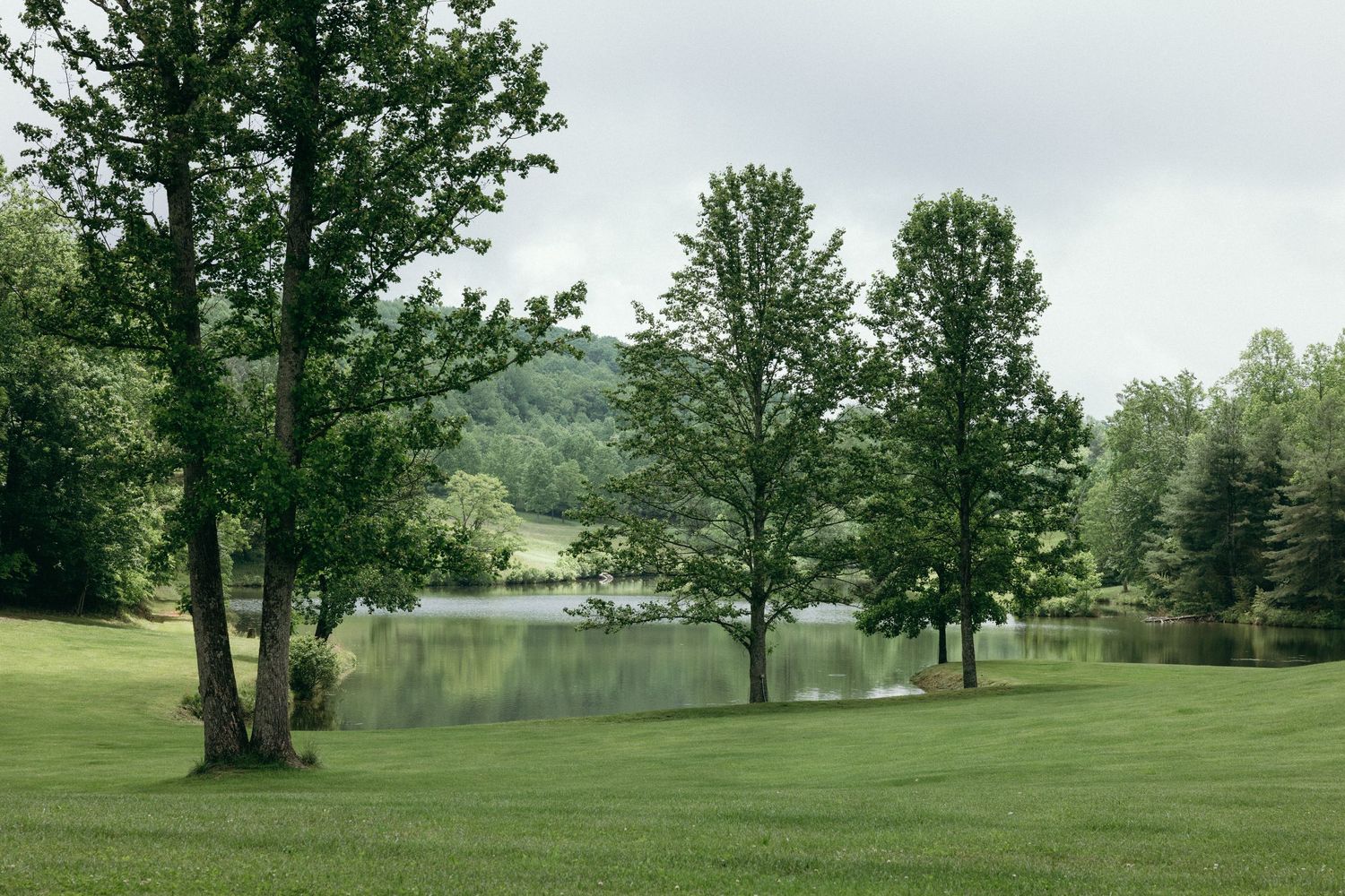 Scenic panorama of a green landscape with trees and a lake in the background. Estate and historic venue wedding photographer for NC