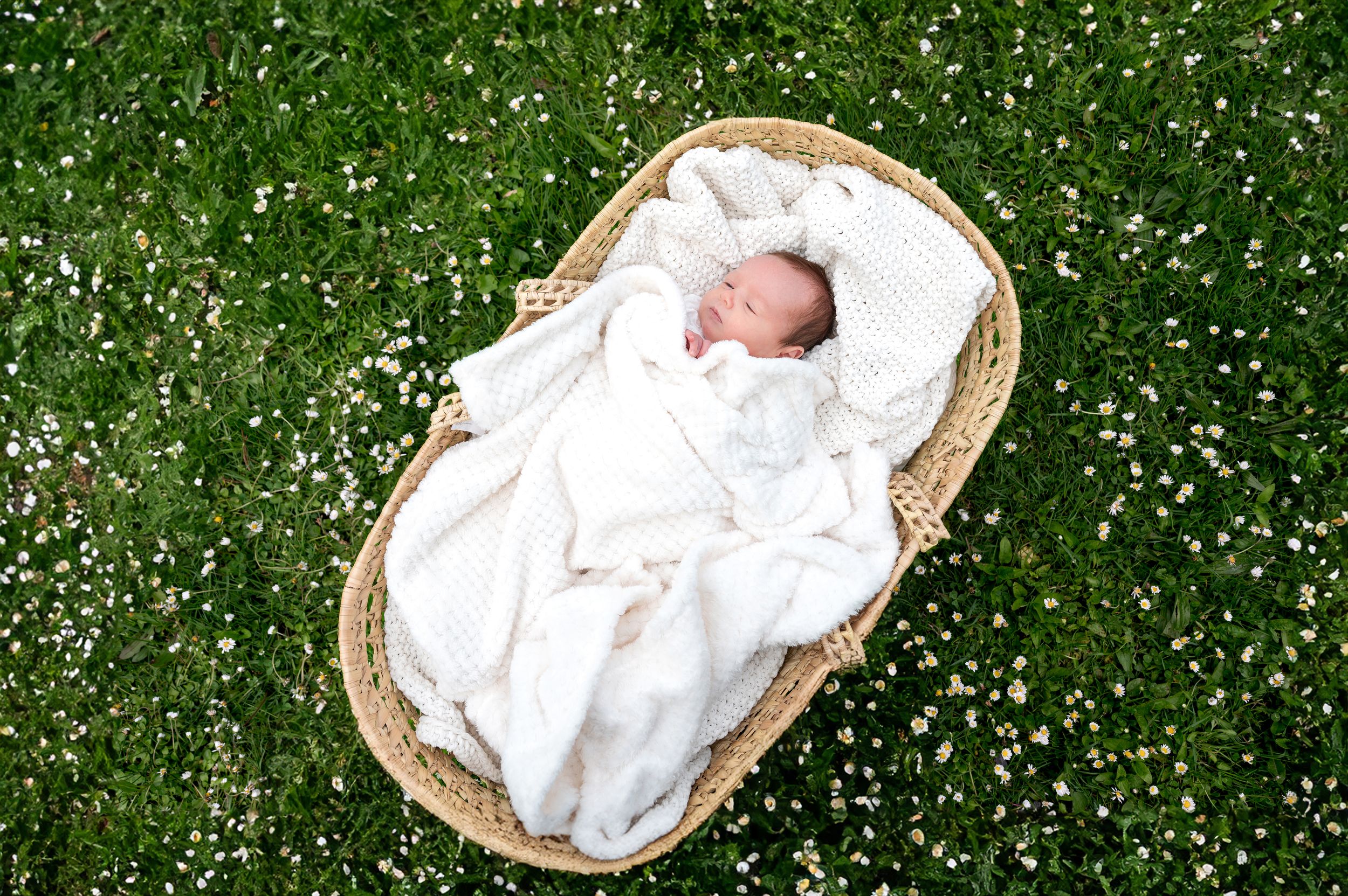 Newborn baby sleeping in wicker basket surrounded by white daisies on green grass.