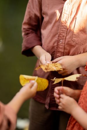Children exchange golden autumn leaves outdoors in warm sunlight, wearing earthy tones.