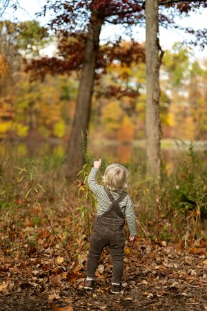 Curious toddler in overalls reaches up toward trees in a colorful autumn forest landscape.