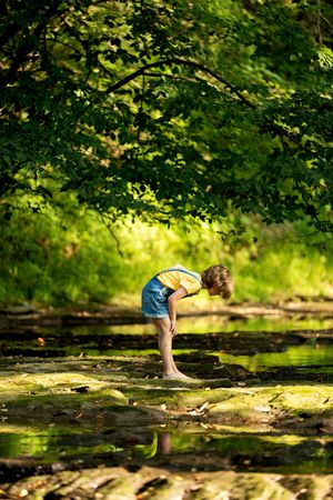 Young child exploring a shallow creek in a lush green forest, bending down to touch the water.
