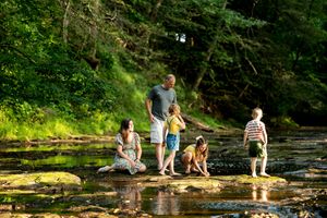 Happy family enjoying a sunny day together wading in a shallow rocky creek surrounded by green trees.
