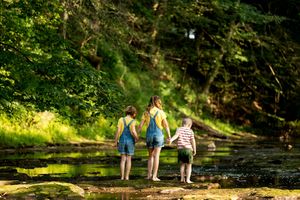 Three young children holding hands while standing barefoot in a peaceful forest creek from behind.