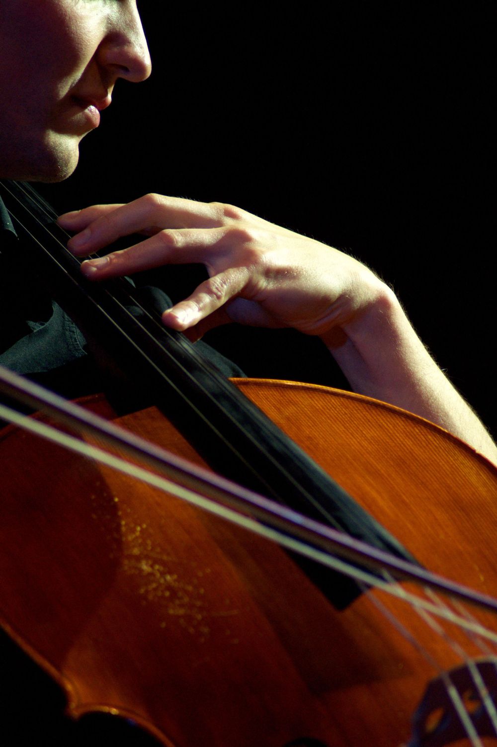 Detaliu din concert in cadrul festivalului Europa Fest