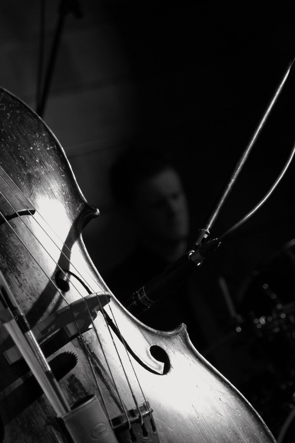 Detaliu din concert in cadrul festivalului Europa Fest