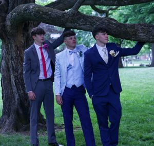 Three people in formal suits stand beneath a large tree branch outdoors.
prom 
riverside