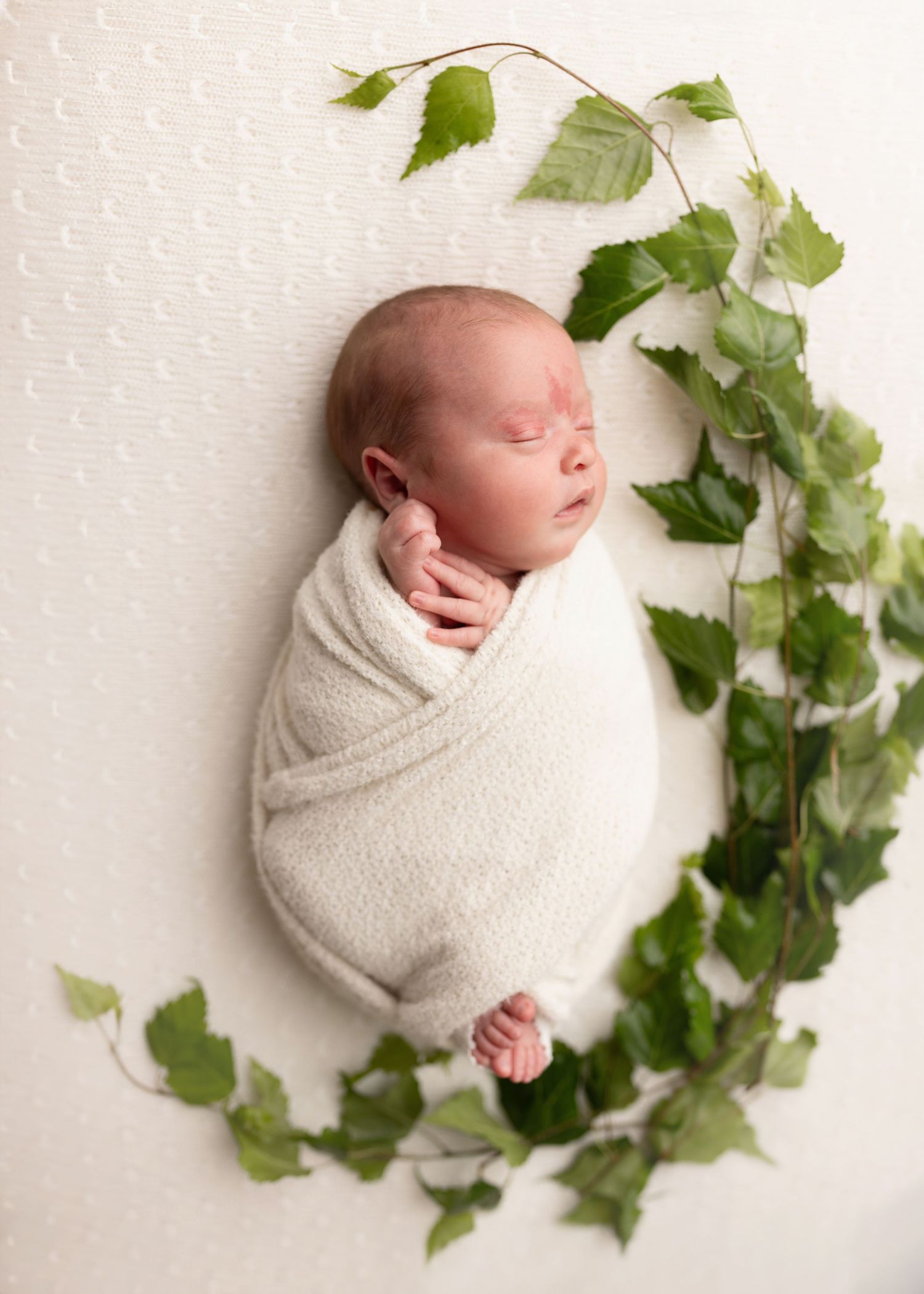 A sleeping newborn wrapped in a cream colored blanket lies surrounded by delicate green ivy leaves on a white background.