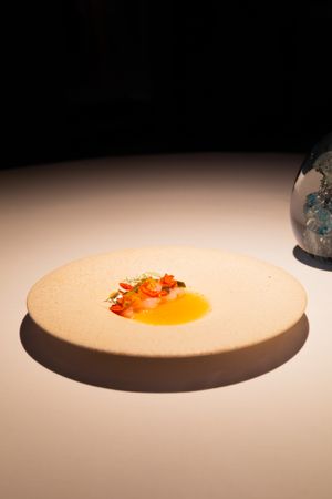 Minimalist plated dish with bright orange element under dramatic spotlight.