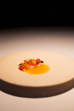 A minimalist plated dish featuring a bright orange sauce garnished with delicate herbs and diced ingredients on a white plate.