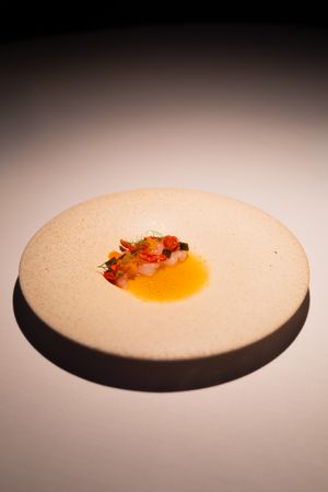 Minimalist white plate with delicate orange and yellow garnishes creating dramatic shadows.