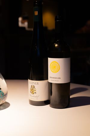 Two wine bottles with distinctive labels displayed on a white surface in moody lighting.