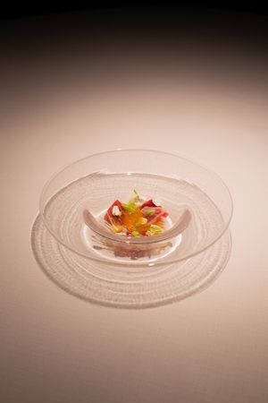 Artistic plating progression showing delicate garnishes on elegant white textured plates against a dark background.
