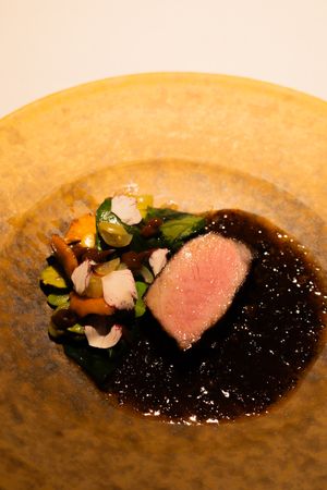 Medium-rare meat dish served in dark sauce with mushrooms and herbs.