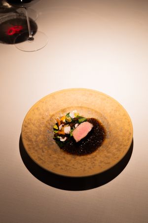 Artistic plating of a dish with dark sauce and pink elements on a textured gold plate.