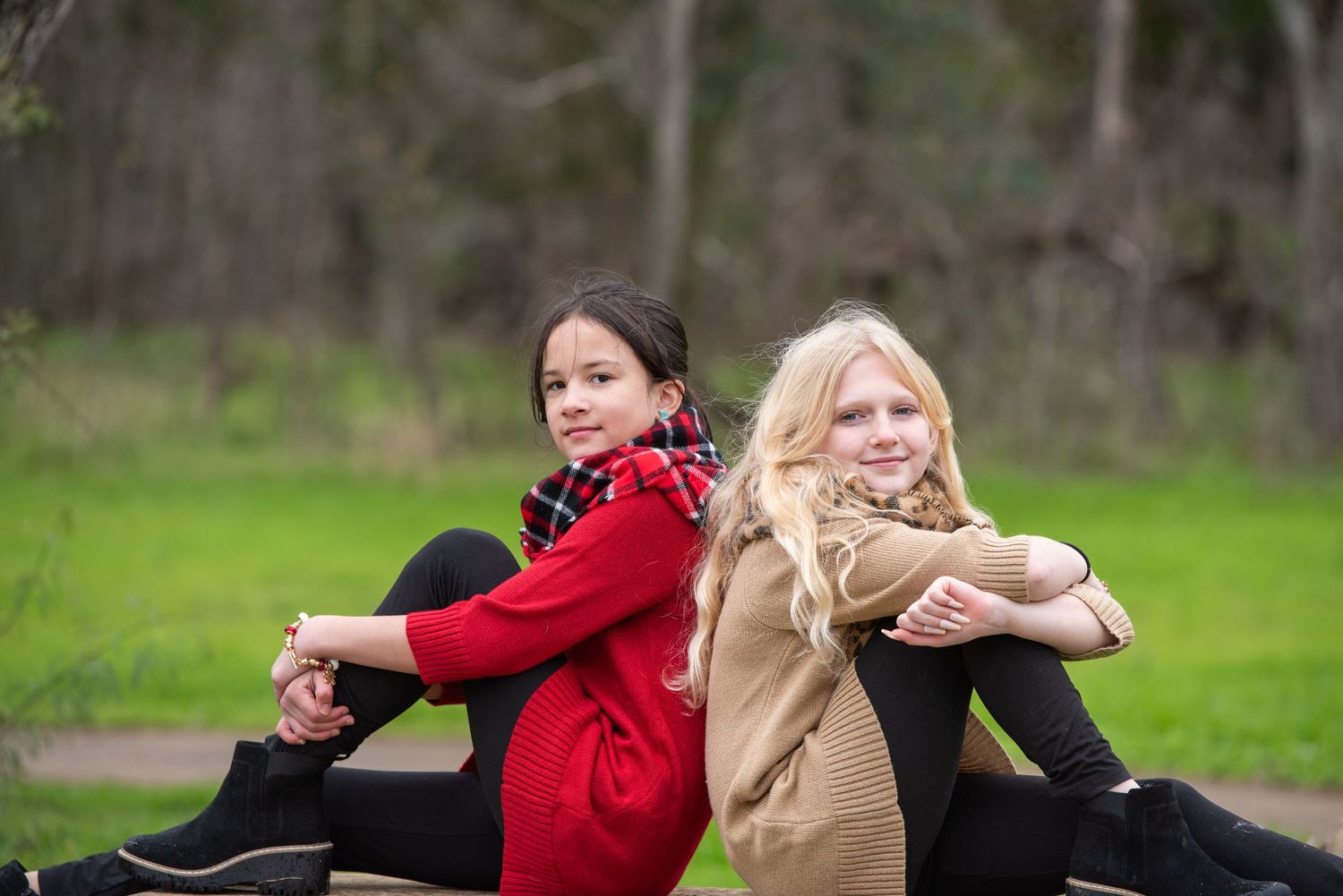 A sequence of action shots showing playful wrestling and movement on grassy ground outdoors.