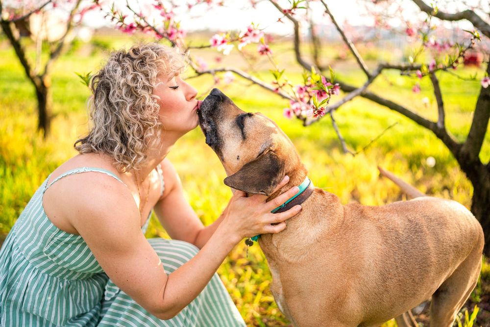 Stacy Scandrett: Niagara Family Photographer