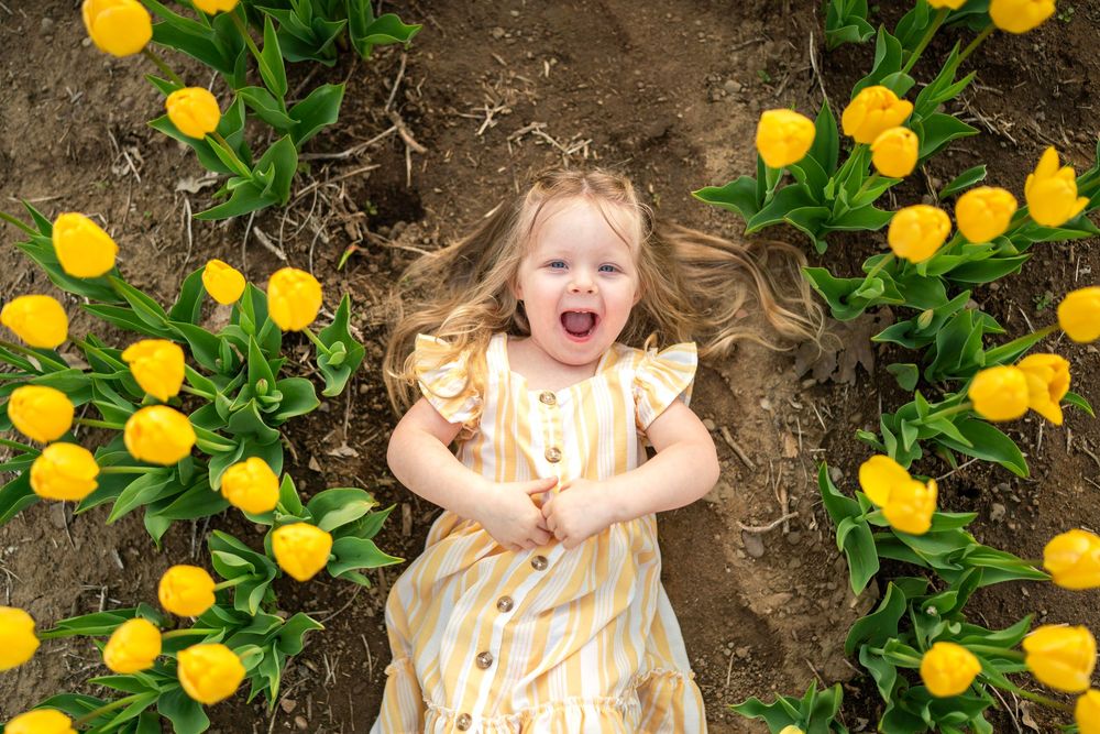 Stacy Scandrett: Niagara Family Photographer