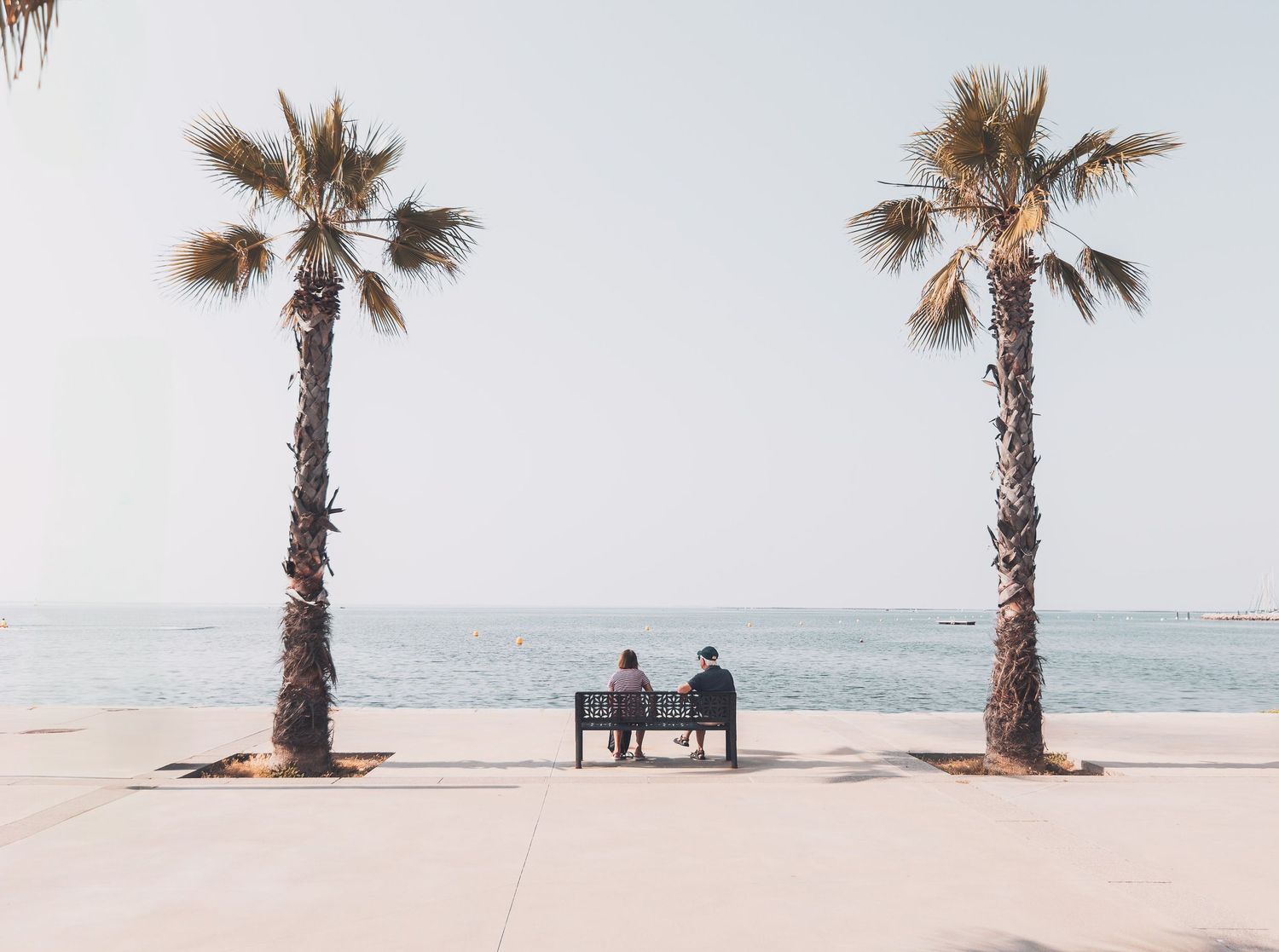 Palm trees line a serene beachfront where people sit on a bench overlooking the calm ocean waters.
