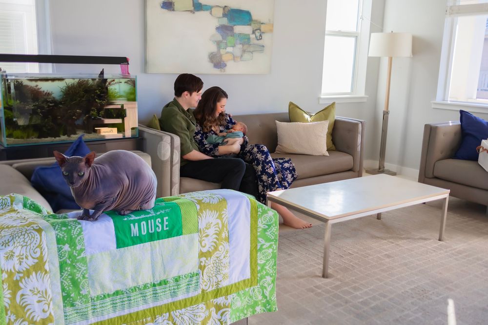 Couple sitting on a gray sofa with a newborn baby in a modern living room, with a cat resting on a green crib.