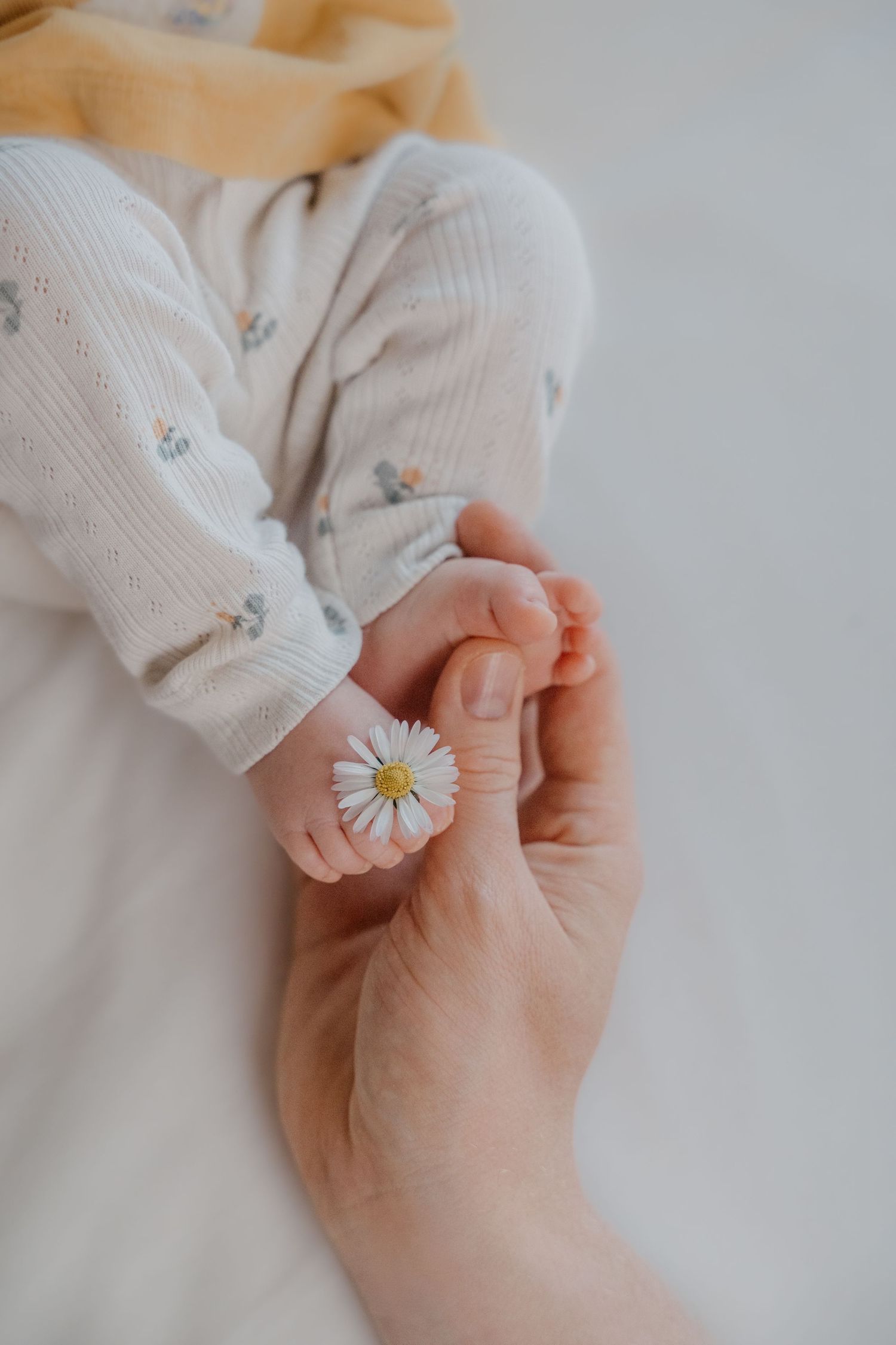 Adult hand gently holding a baby's tiny feet with a small white daisy flower, baby wearing a floral onesie.