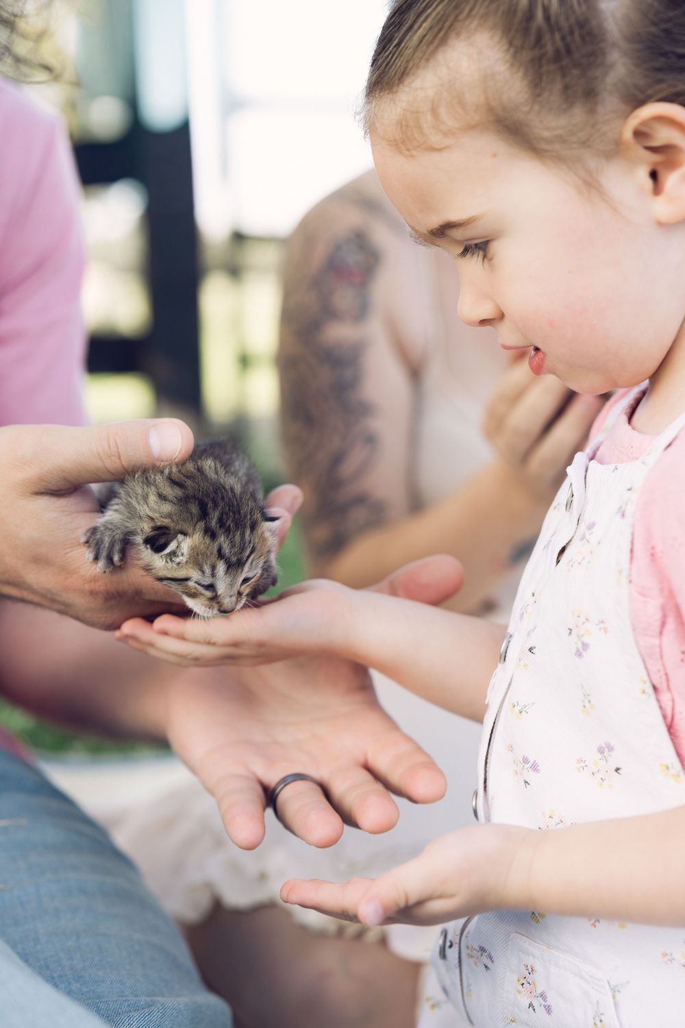 A young girl carefully holds a tiny newborn kitten in her cupped hands outdoors.