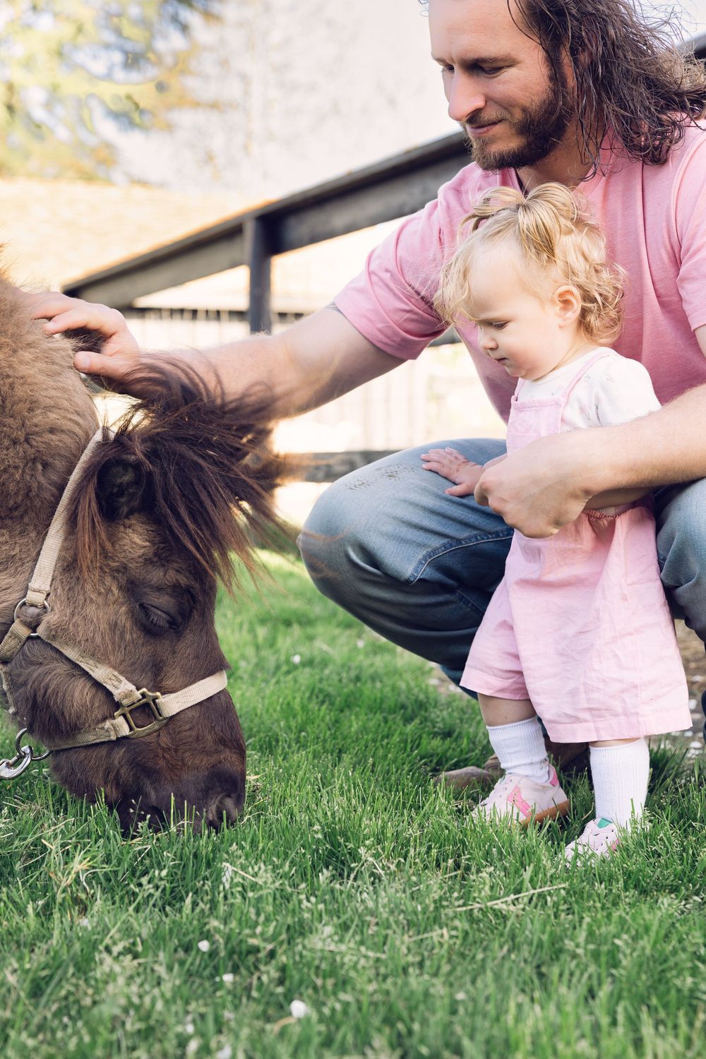 Father and toddler girl in pink petting a brown pony on green grass at a farm on a sunny day.