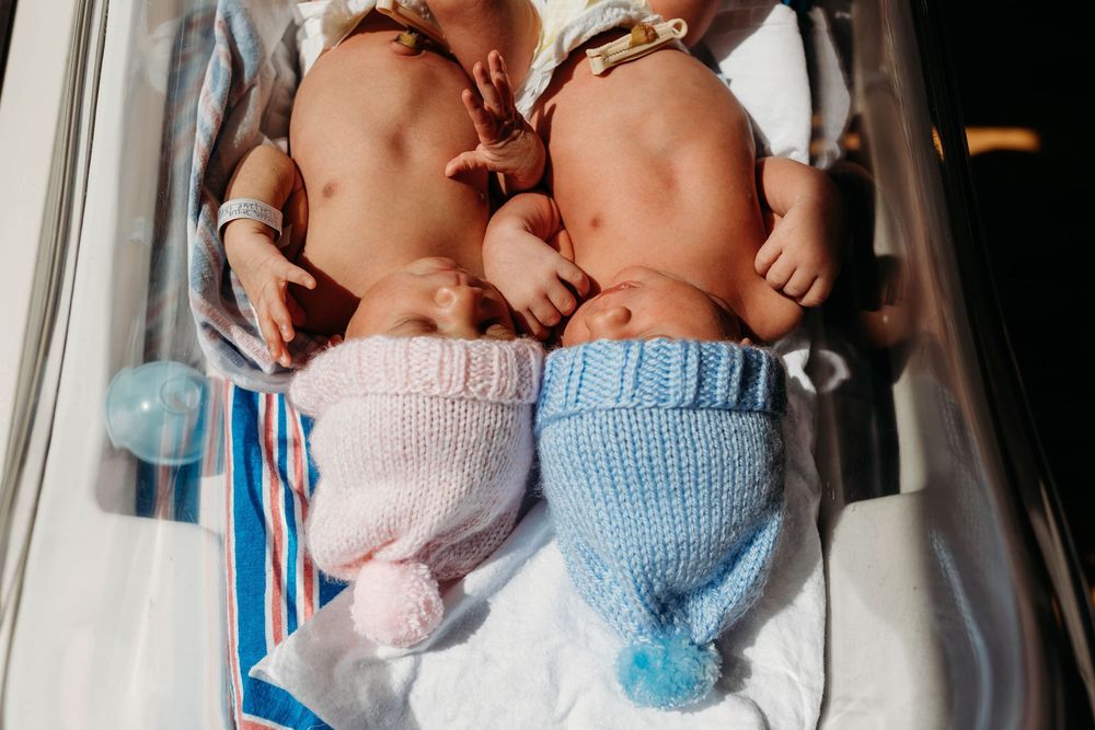 Two newborn twins in a hospital bassinet wearing pink and blue knitted hats and booties.