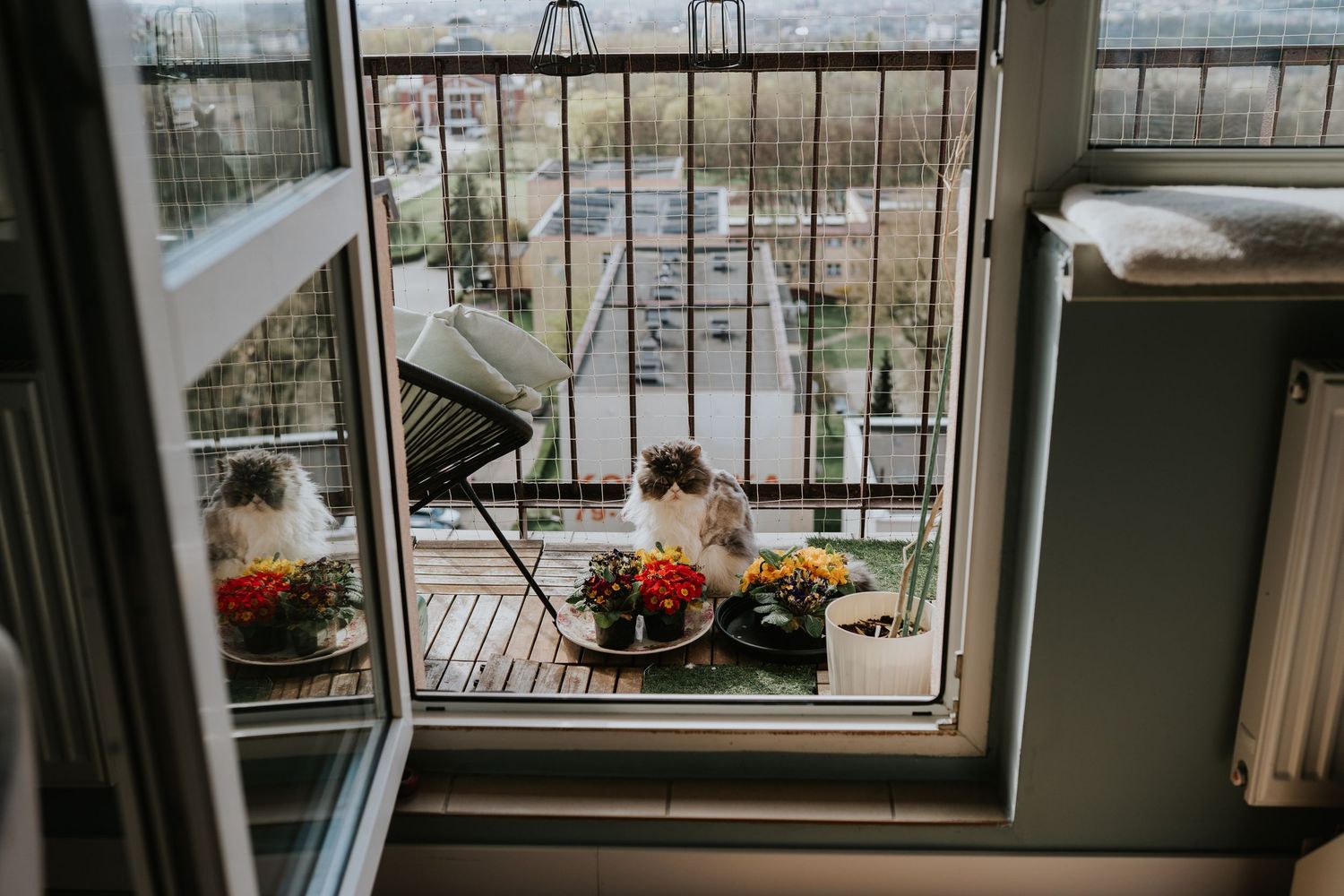 Sesja noworodkowa Katowice domowe zdjęcia noworodkowe sesją niemowlęca Śląsk fotograf rodzinny Katowice sesja w domu sesja rodzinna Śląsk