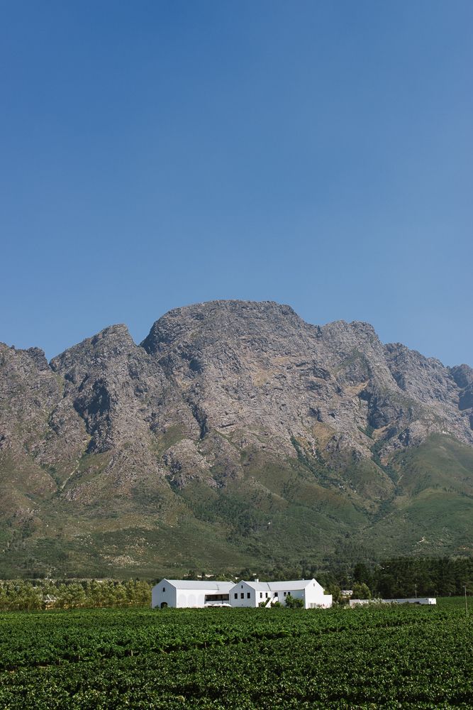 White Cape Dutch farmhouse nestled between green vineyards and dramatic rocky mountains under a clear blue sky.