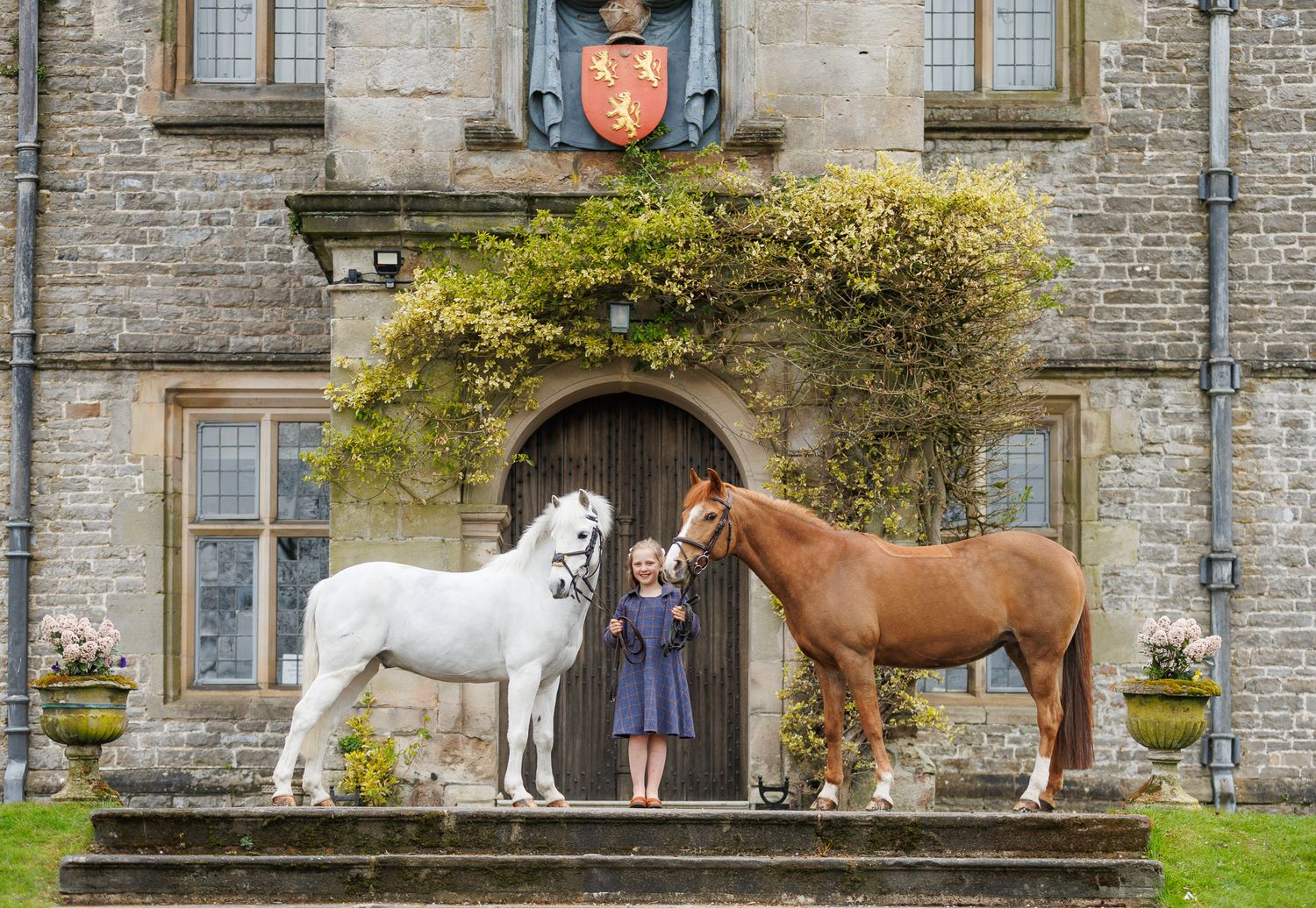 A girl stands between a white and brown horse at the entrance of a stone castle with a coat of arms.