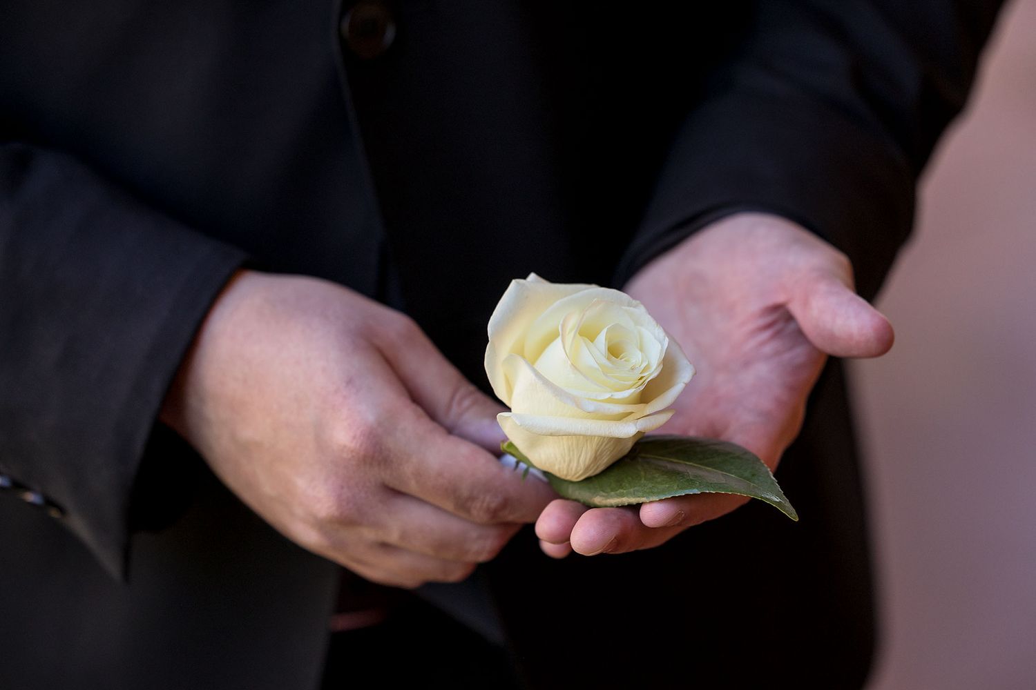 A close up image of a Grooms hands holding his white rose button hole flower.