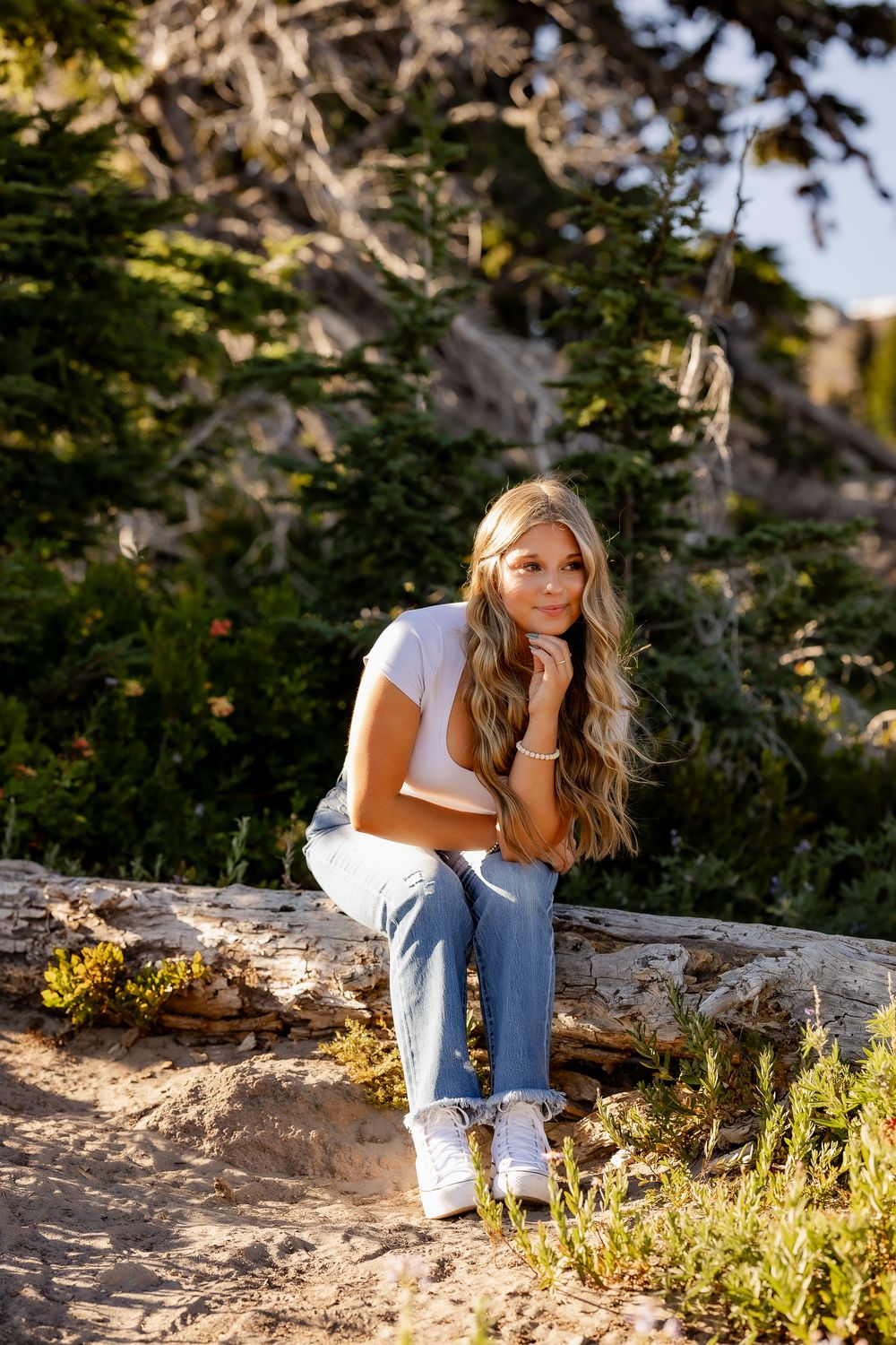 Someone sitting on a fallen log surrounded by evergreen trees and yellow wildflowers in the mountains.