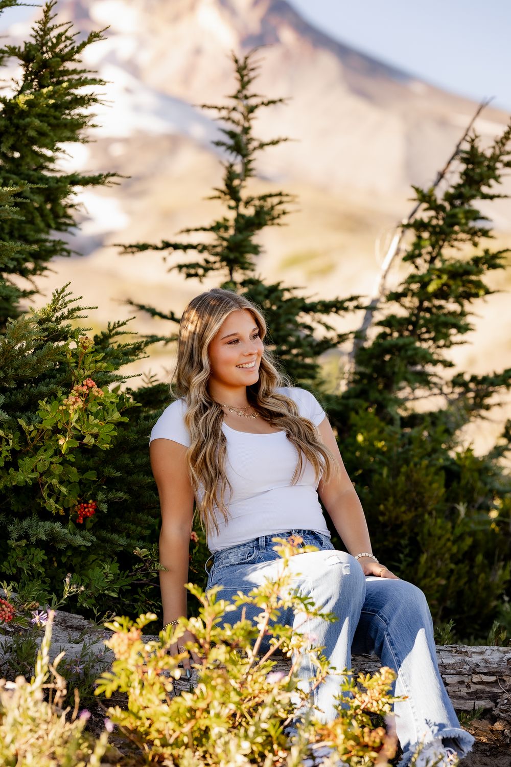 Mountain wilderness portrait with evergreen trees and yellow wildflowers in late afternoon light.